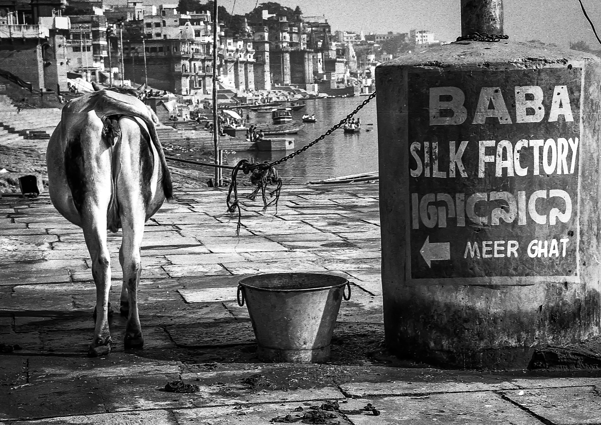 pictures from India by Philp Pinchin