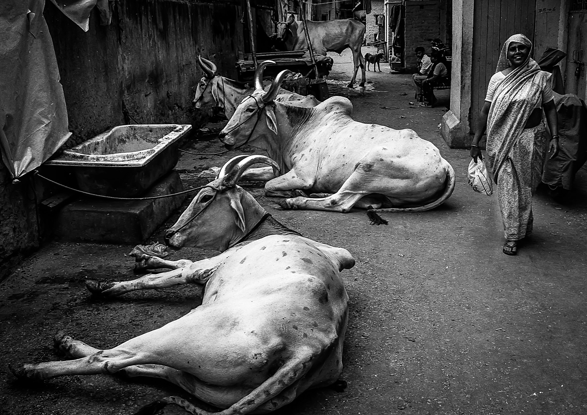 pictures from India by Philp Pinchin